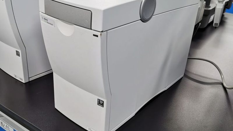 动物细胞培养基与微生物培养基：本质差异与选用要点**