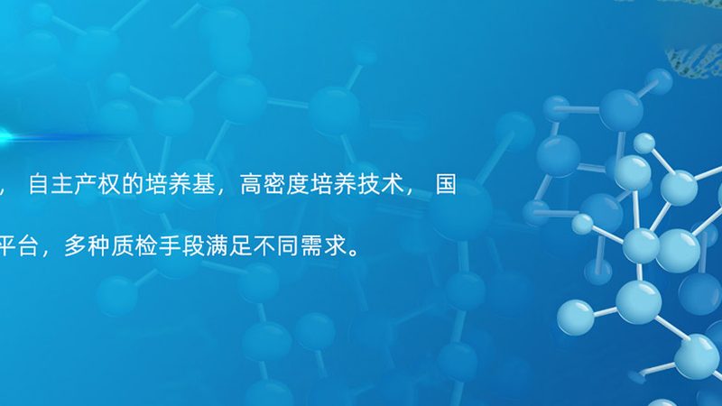 PCR检测准确度：揭秘其关键因素与选择要点