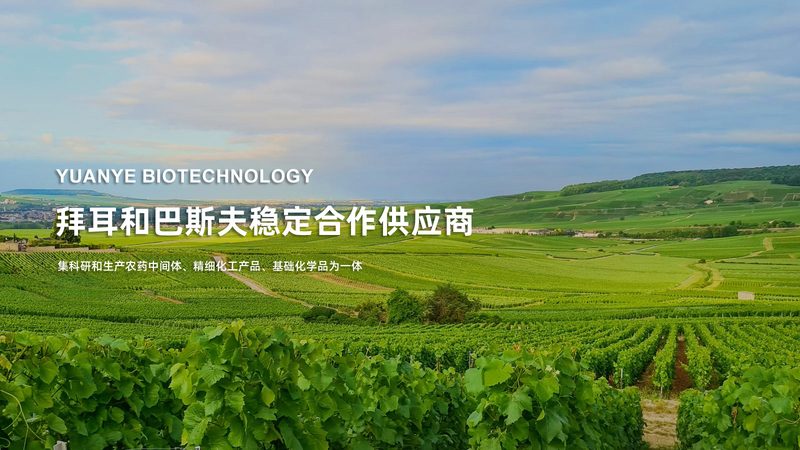 生物医药外包实验室GLP资质：合规之路的基石