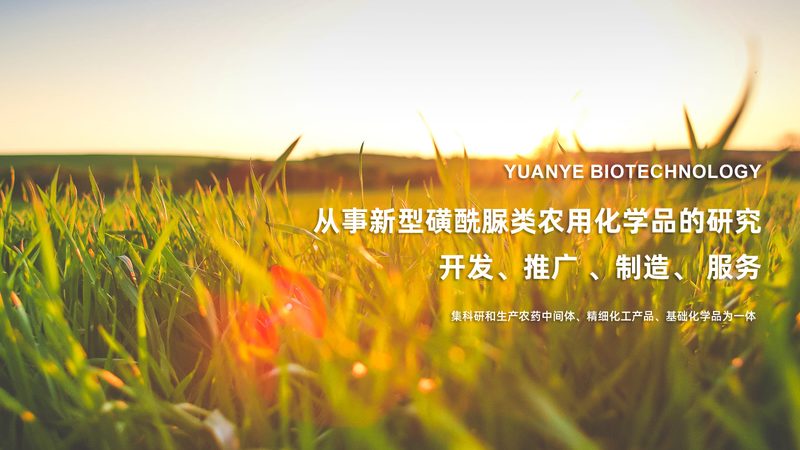 抗体药与原研生物类似药，临床选择看什么