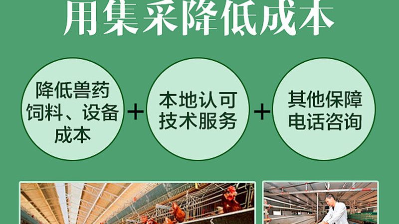 Taq酶与Pfu酶在克隆中的应用区别