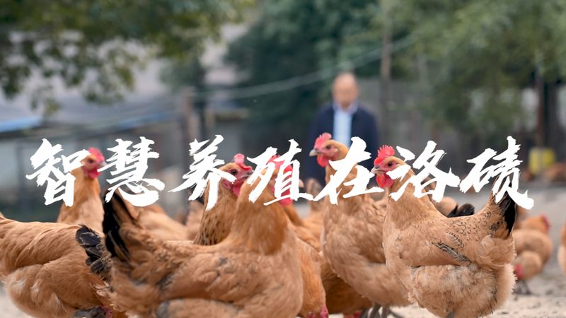 苏州BioBay入驻条件：揭秘生物医药企业的“黄金门槛”**