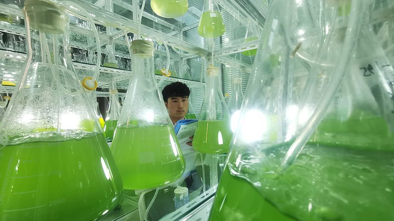 抗体纯化柱保养维护：关键步骤与常见问题解析**